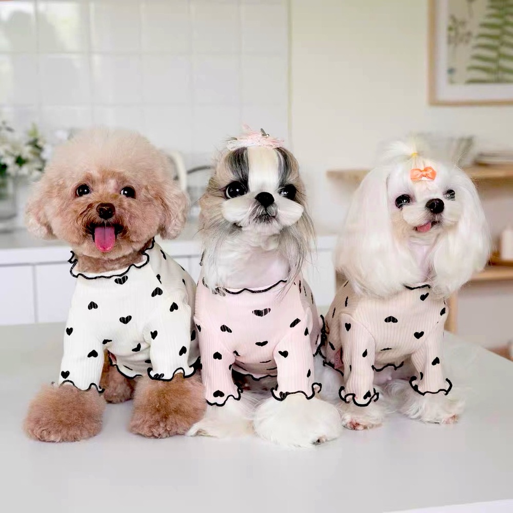 Pet clothes